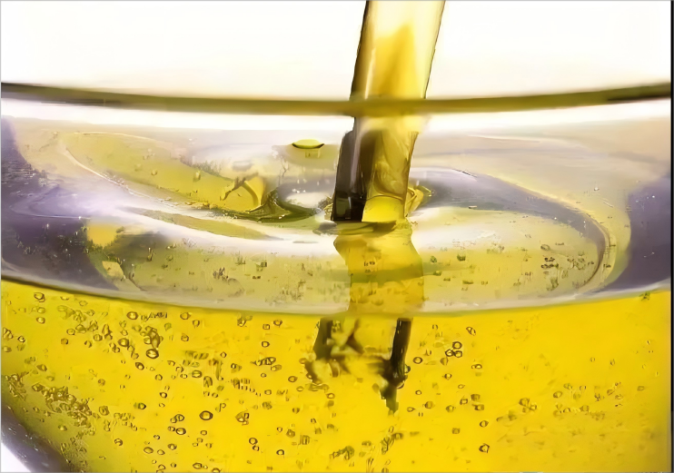 20250307081257313(1)